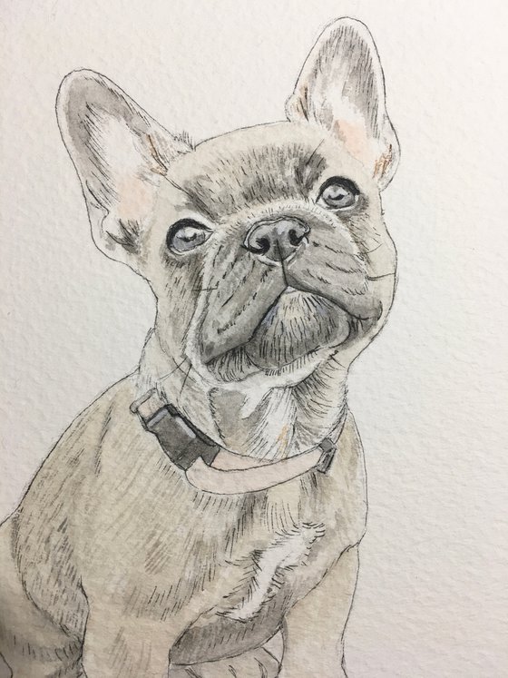 French Bulldog Painting