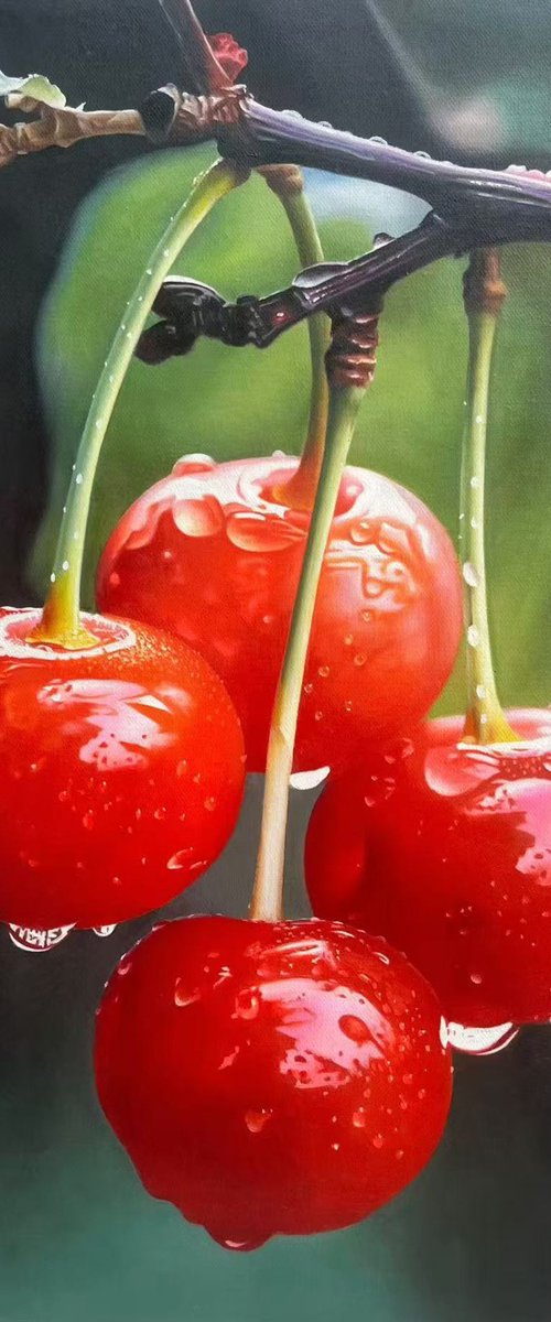 Cherry on the branches t296 by Kunlong Wang