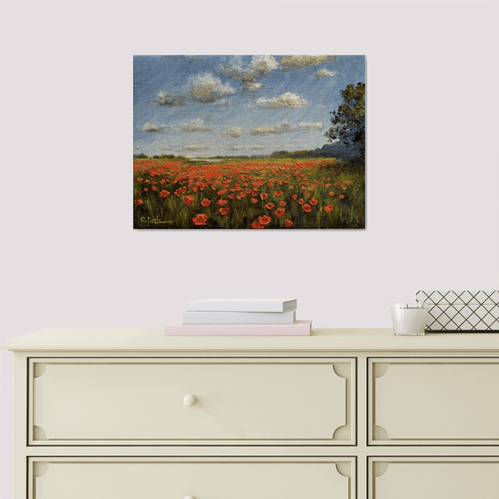 Poppy horizon
