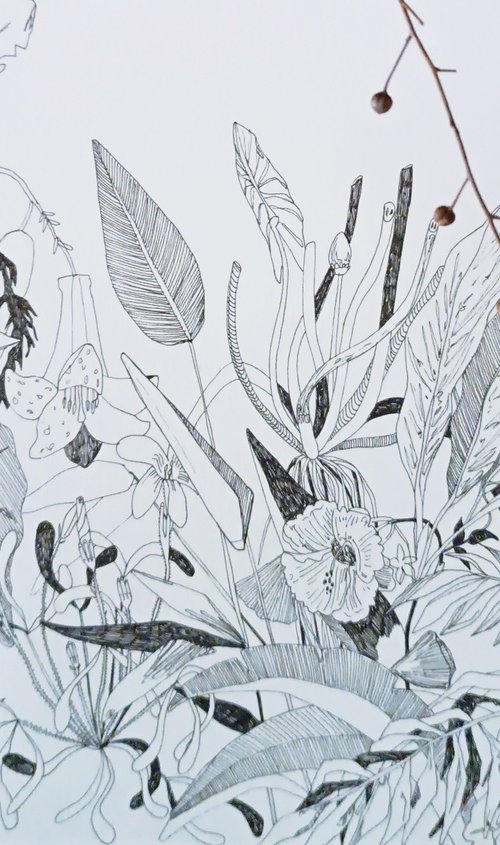 draw 25.0 by Isabellangela Germinario