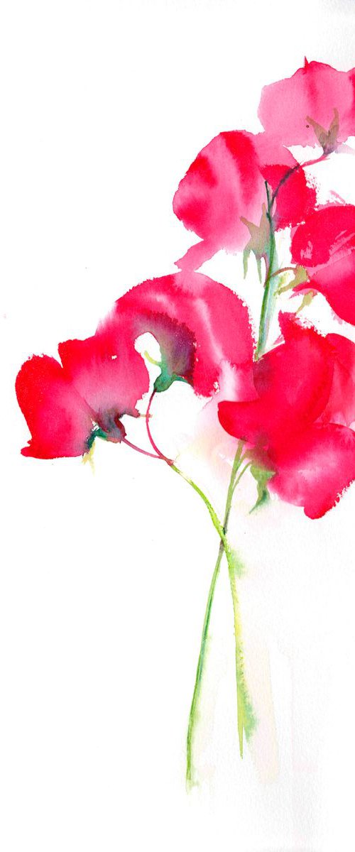 Sweetpea, Floral Art, Original Watercolour painting, Minimal art by Anjana Cawdell