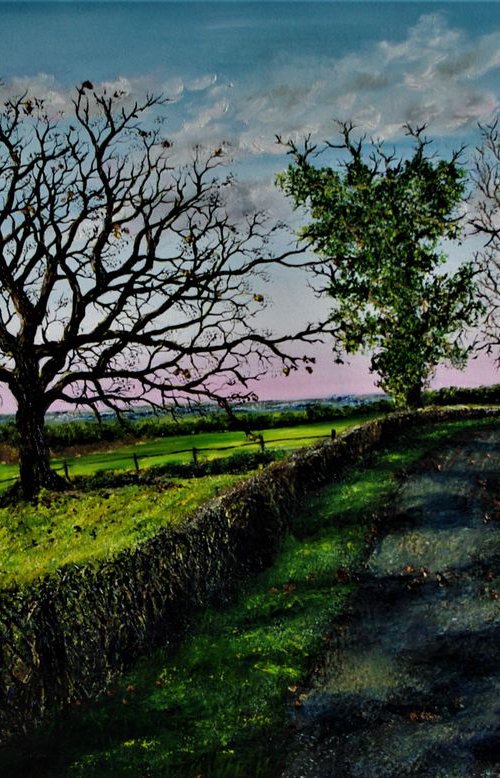 End Of Winter in cheshire. by Hazel Thomson