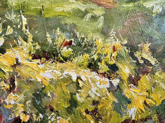 Vignes sous le soleil