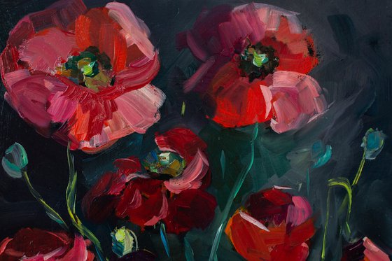 Red poppies