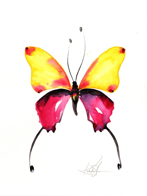 Watercolor Butterfly 9 Abstract Butterfly Wate Artfinder