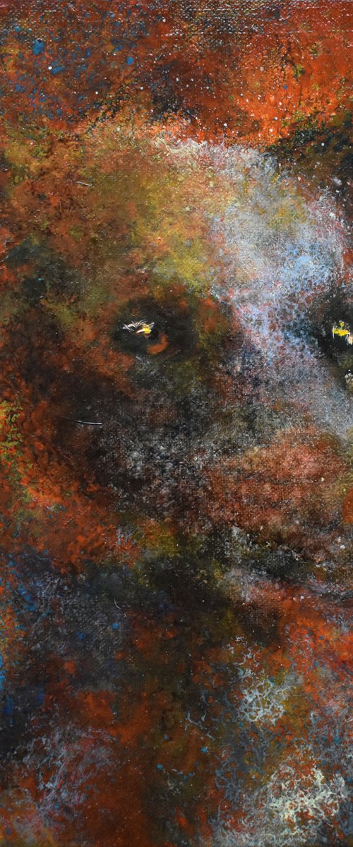 Sweet dog by Hilde Hoekstra