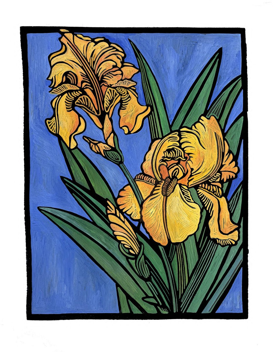 Illustrative Linocut , Bright Yellow Iris By Laurel Macdonald, 20 X 26, Artwork For Sale On Artfinder