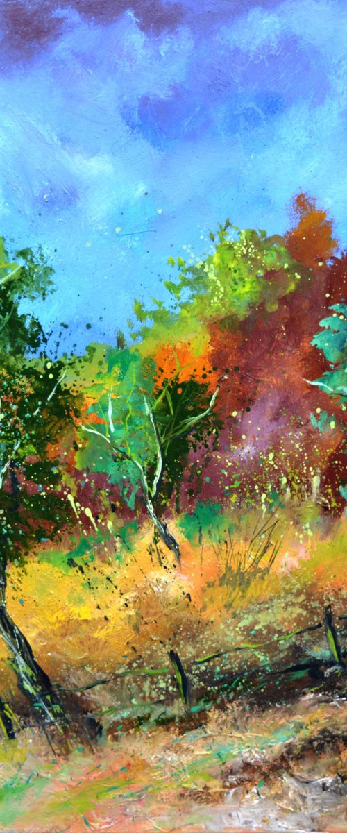 Orchard in autumn - 7723 by Pol Henry Ledent