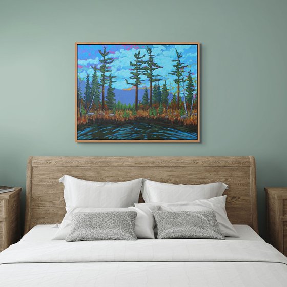 A Day in the Wilderness