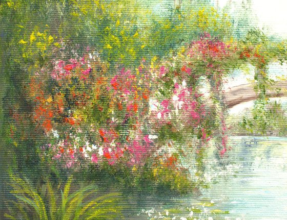 Water lily pond