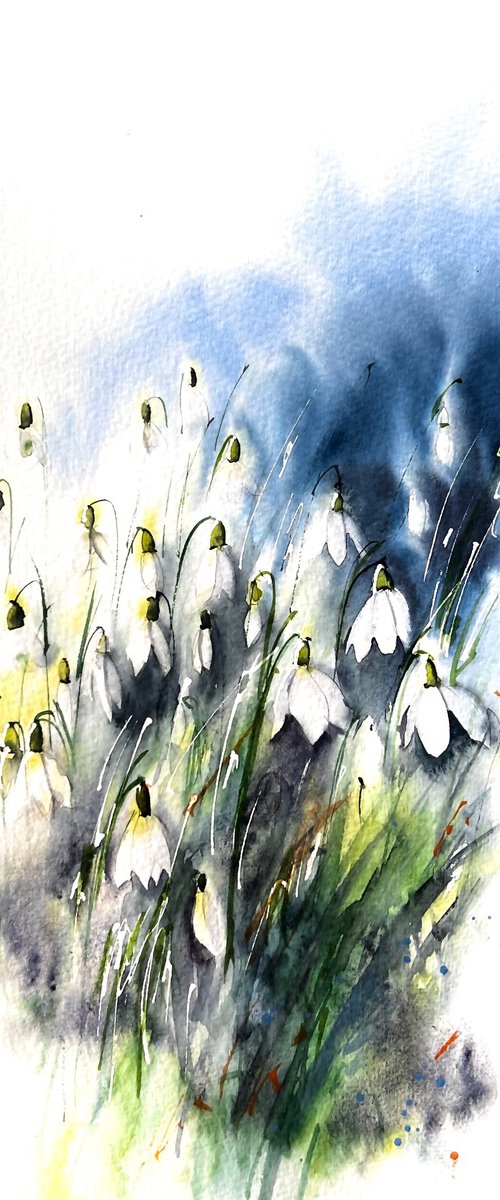 Snowdrops Flowers by Yana Ivannikova