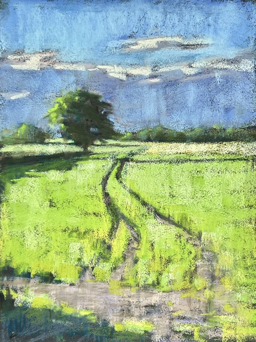 Green field by Louise Gillard