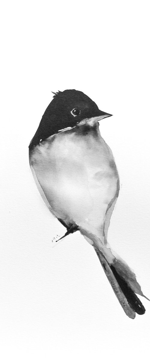 Bird by Nadia Moniatis