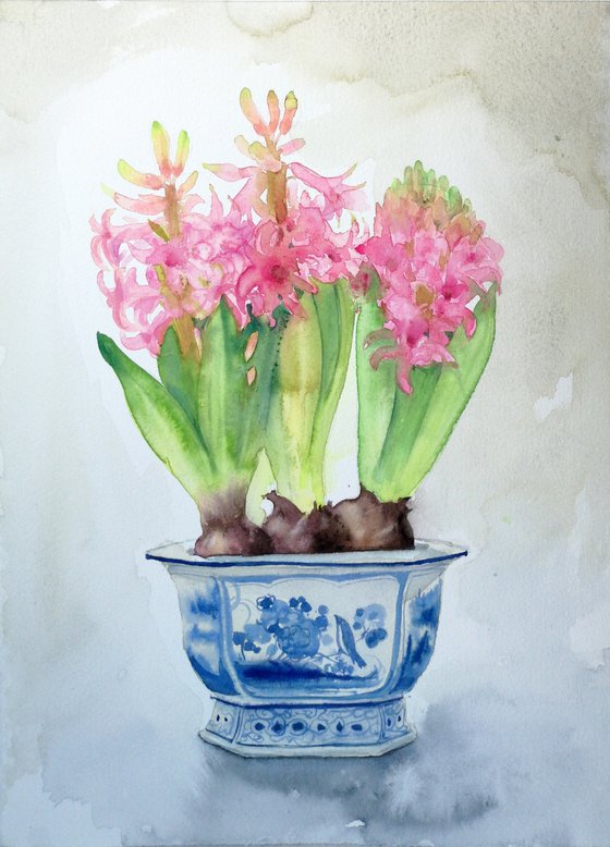 Pink Hyacinths watercolor