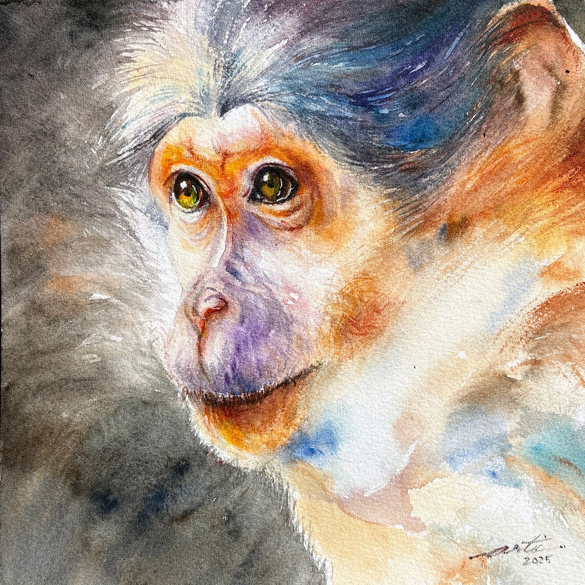 Arti Chauhan | Original  Watercolour | Watchful Monkey | 20 X 20Cm | Artwork For Sale On Artfinder