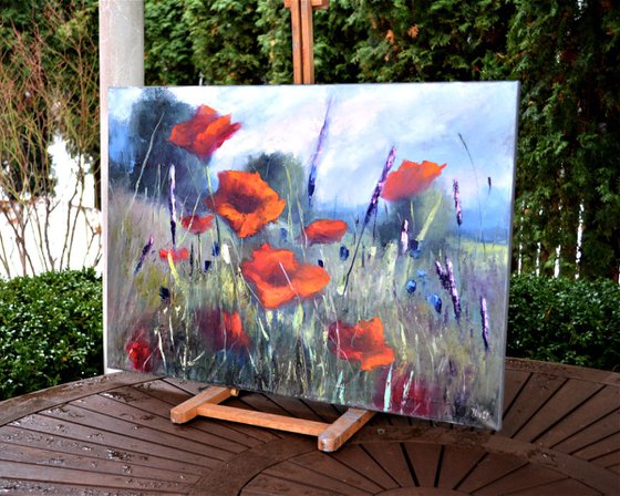 Poppy meadow