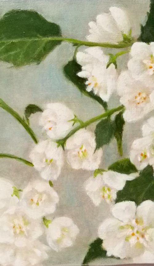 Blossom by Daniela Roughsedge