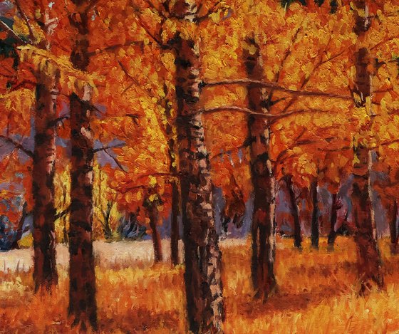 A Symphony of Autumn Aspens