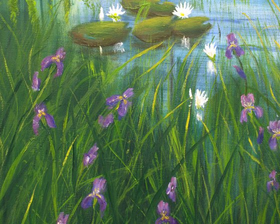 Water lily pond