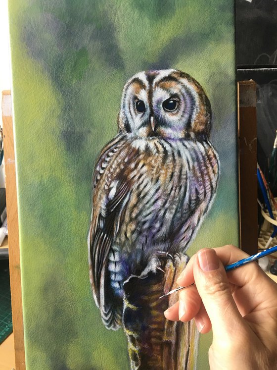 Athena - tawny Owl