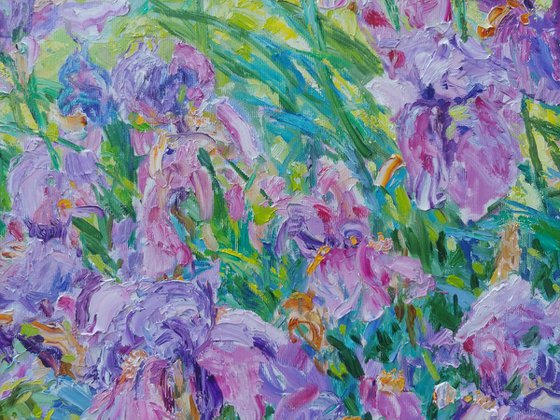 Irises in the light of the wind.