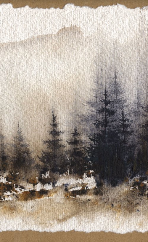 Places XV - Watercolor Pine Forest by ieva Janu