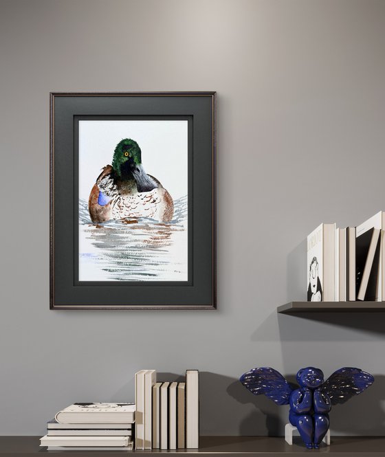 Diptych 2 Wild drakes Mallard