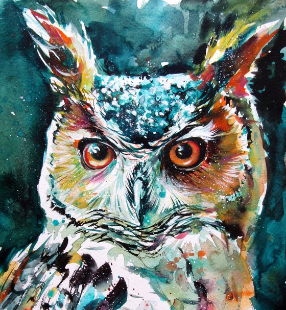 Owl portrait