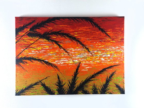 Red Sunset In The Grass