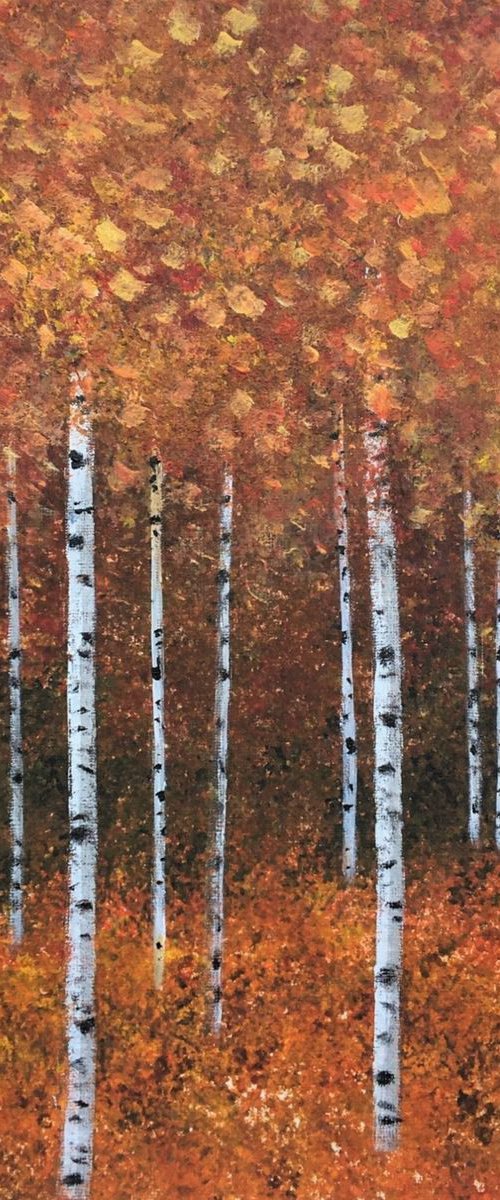 Silver Birch Trees in Autumn by Jan Rippingham