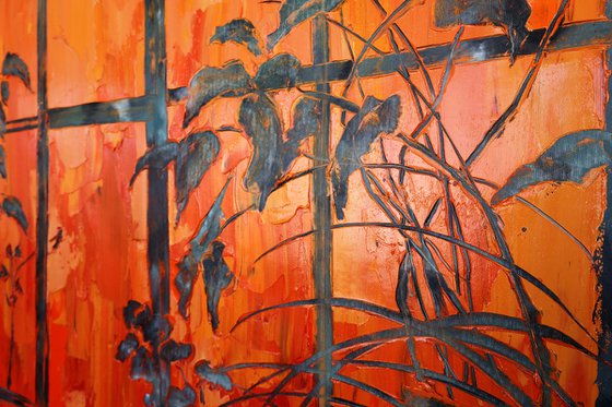 Where the Light comes from