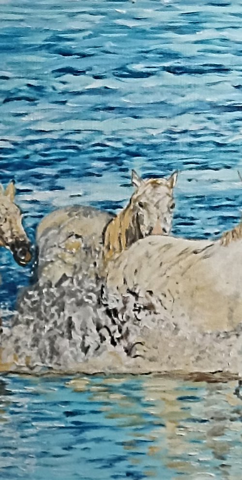 Horses and sea by Isabelle Lucas