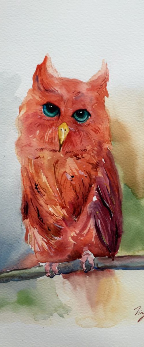 Owl by Jing Chen