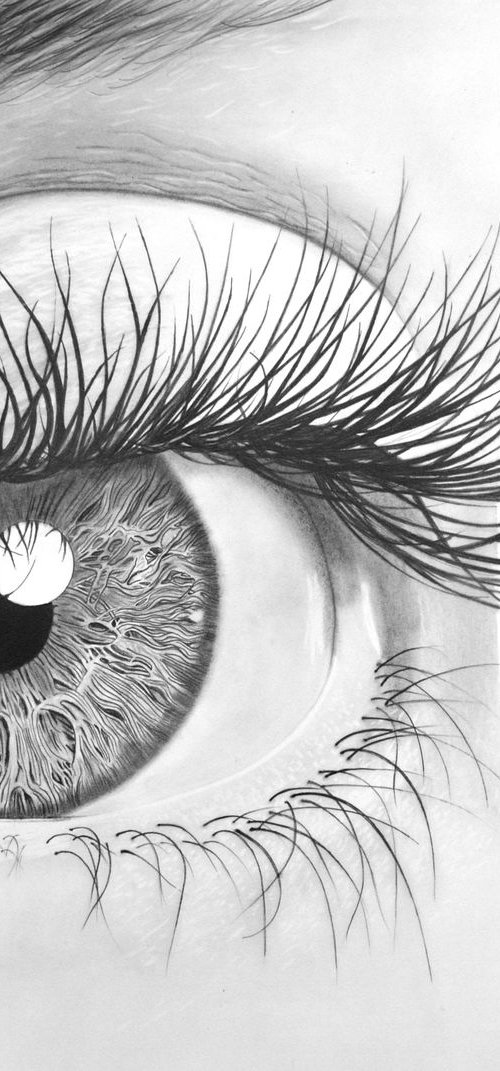 Big Eye!! by Paul Stowe