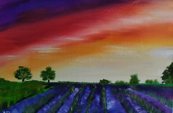 Smell of lavender