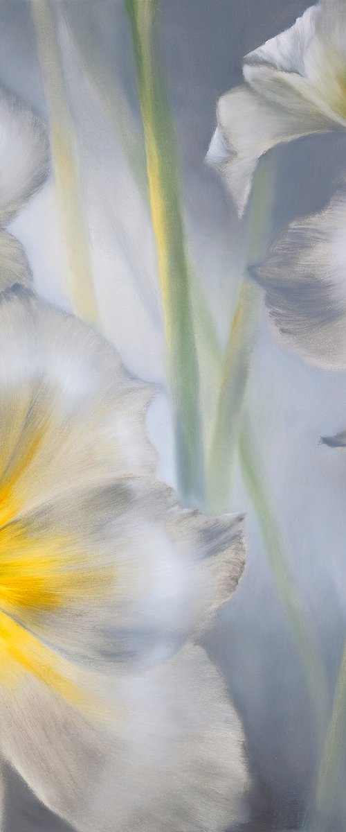 White Amaryllis by Annette Schmucker