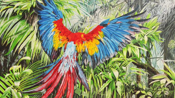 Flight to Freedom,Scarlet Macaw