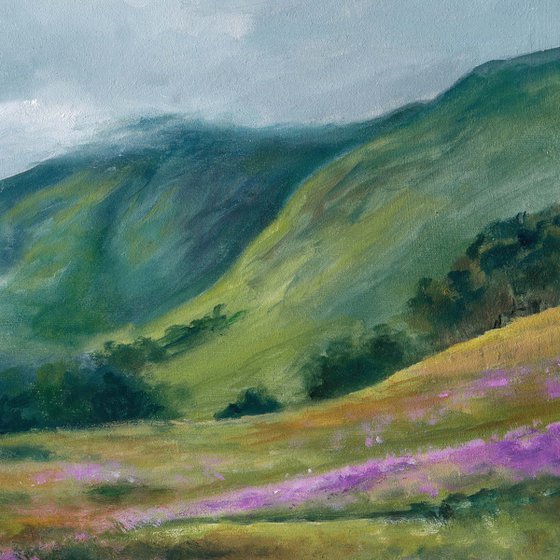 Purple flowers in the meadow