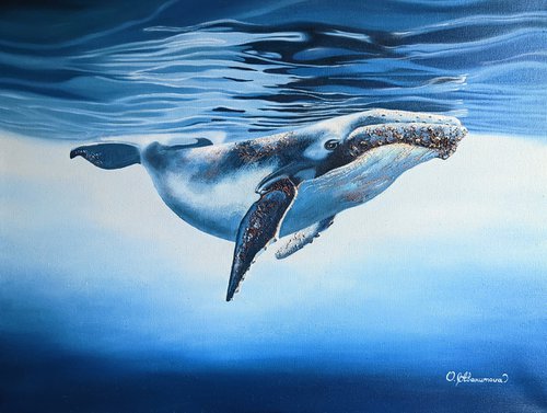 Blue Whale by Olena Abakumova