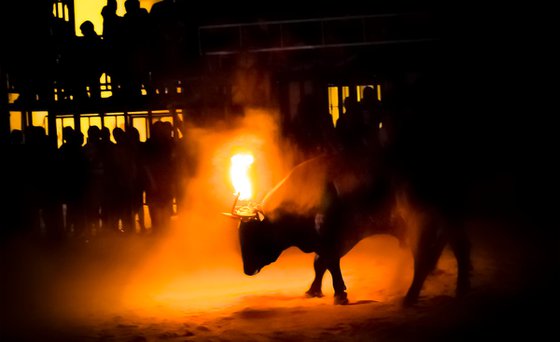 Spanish Bull Running Fiesta Limited Edition Photographic Print 2/20