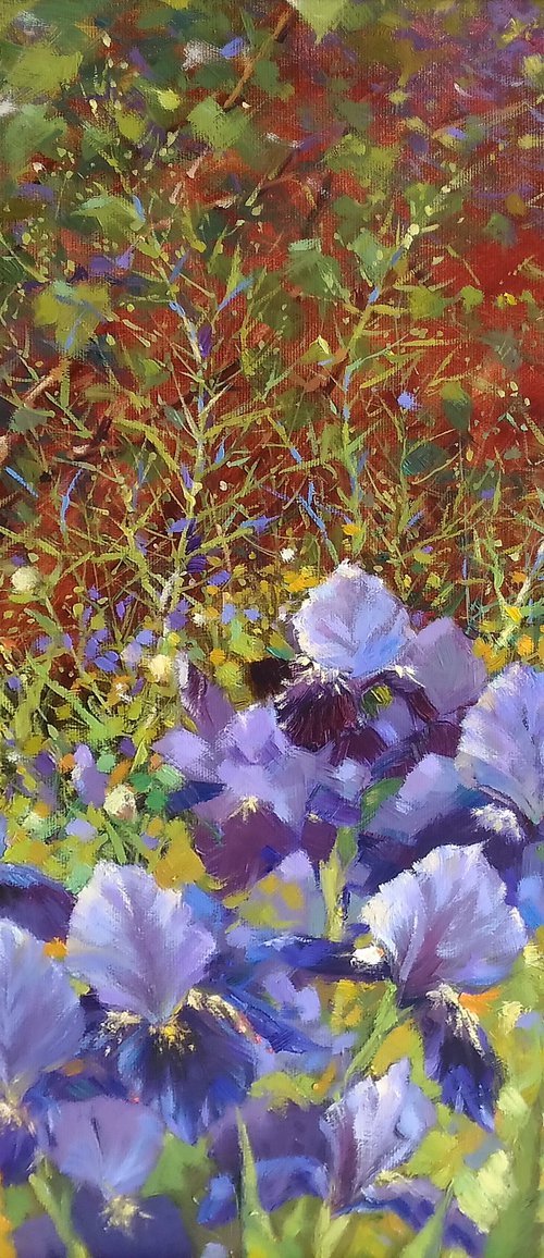 Irises by Natalia Kakhtiurina