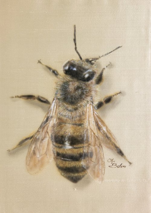 Silky Bee by Olga Belova