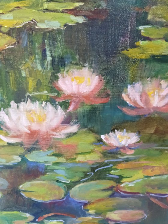 Water Lilies 60x40cm