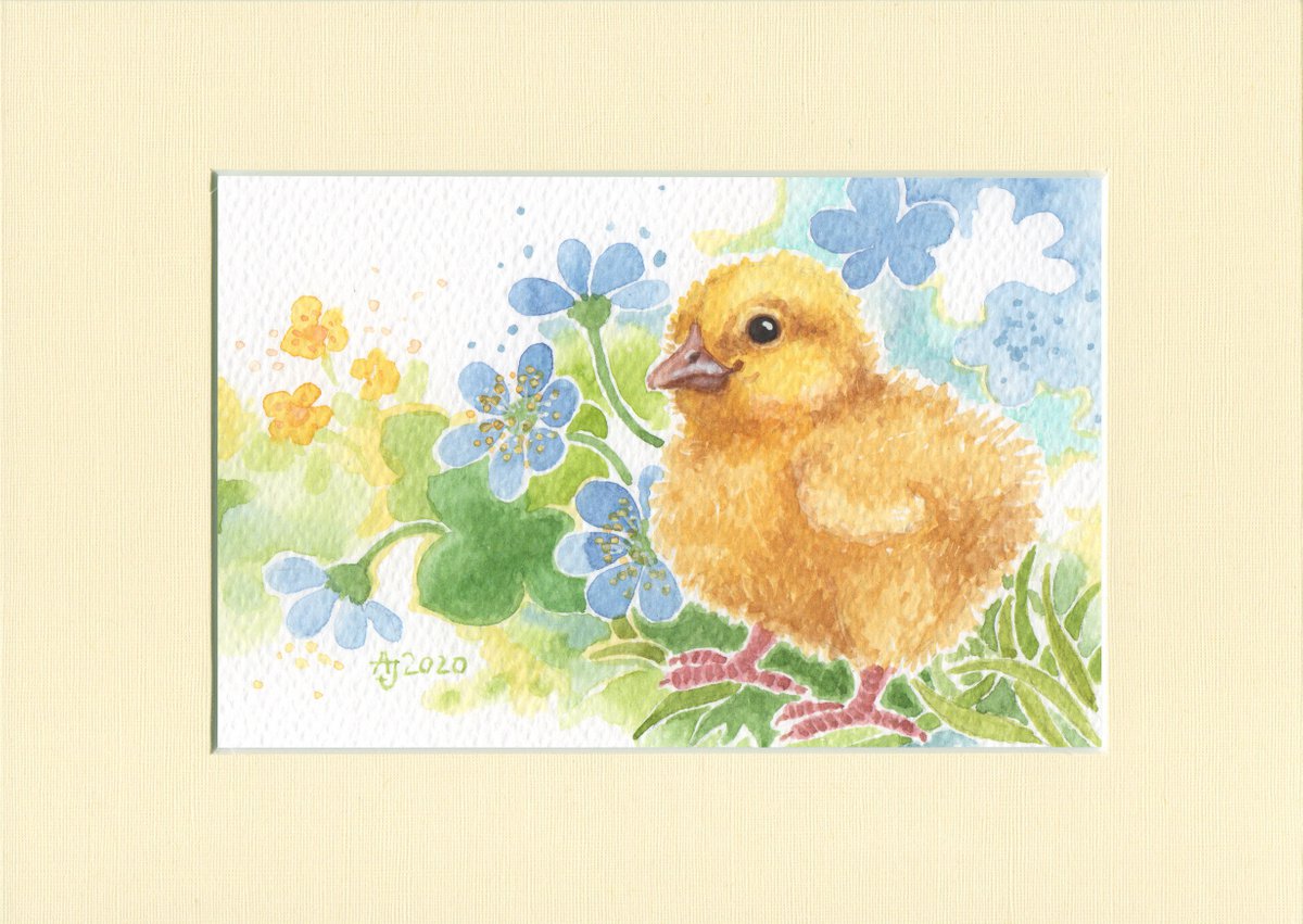 Spring is coming - Chicken by Jolanta Czarnecka
