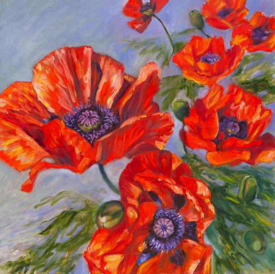 Red Poppies