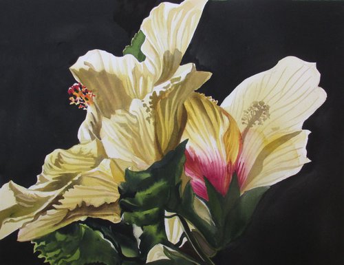 Golden hibiscus by Alfred  Ng