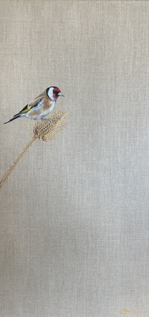 Teasel Goldfinch by Hannah Bruce