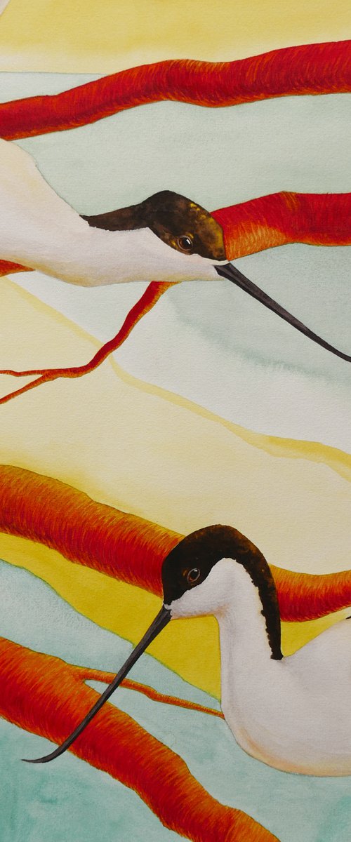 Piet avocet birds by Karina Danylchuk
