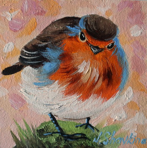 Robin Oil Painting on Canvas