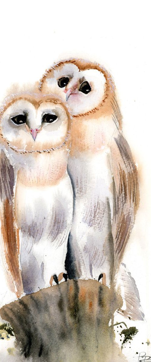 Barn OWL by Olga Tchefranov (Shefranov)